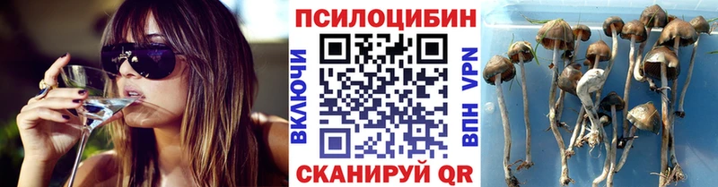 что такое   Сенгилей  Псилоцибиновые грибы мухоморы 